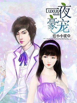 《一夜豪宠:总裁小娇妻》
