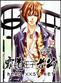 《霸道王子老公》