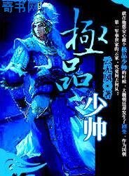 《极品少帅》