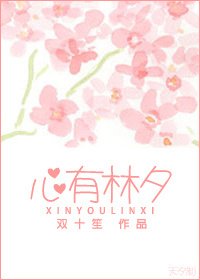 《心有林夕》