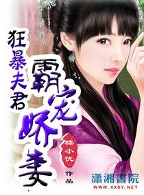 《狂褒夫君霸宠搅妻》