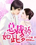 《总裁如此多骄》