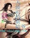 《天波府的新姑爷》