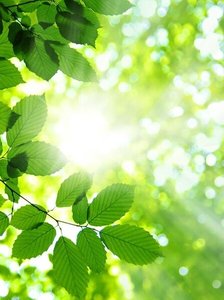 《阳光一缕照我心》