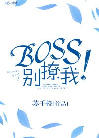 《Boss别撩我!》
