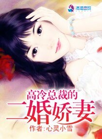 《高冷总裁的二婚搅妻》