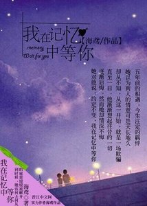 《我在记忆中等你》