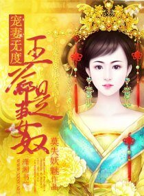 宠妻无度一王爷是妻奴