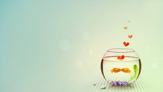 我的店长大人
