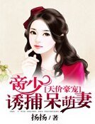 《天价豪宠:帝少诱捕呆萌妻》