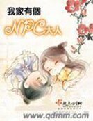 《我家有个NPC大人》