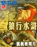 《狼行水浒》