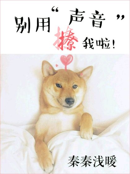 别用声音撩我啦