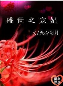《盛世之宠妃》