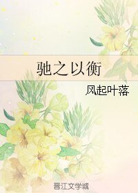 驰之以衡