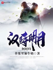 《汉时明月何时归》