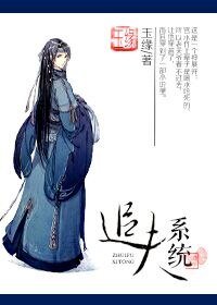 《追夫系统》