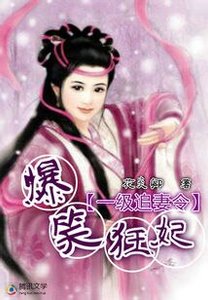 《一级追妻令:爆笑狂妃》