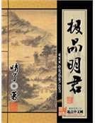 《极品明君》