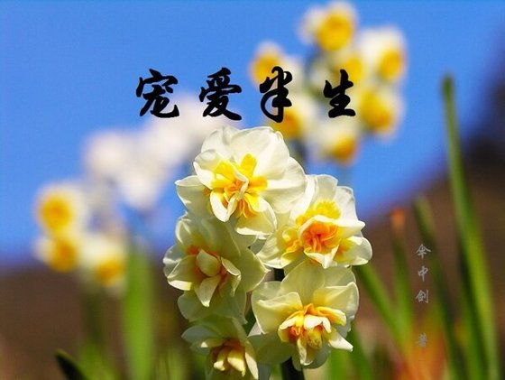 《宠爱半生》