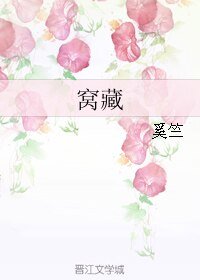 《窝藏》
