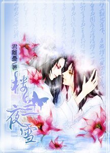 《楼兰夜雪》