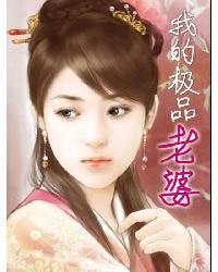 《我的极品老婆》