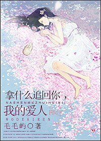 《拿什么追回你,我的爱人》