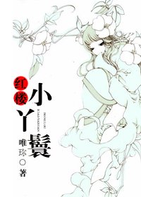 （BG-红楼梦同人）红楼小丫鬟