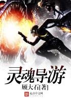 《灵魂导游》