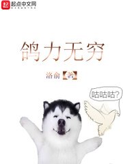 《鸽力无穷》
