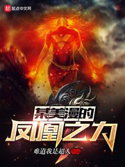 《某美漫的凤凰之利》