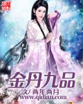《金丹九品》