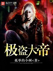 《极盗大帝》