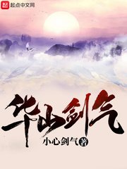 《华山剑气》
