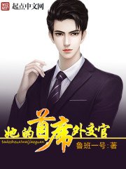 《她的首席外交官》