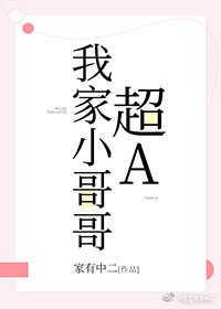 《我家小哥哥超A》
