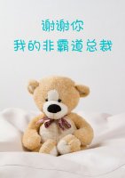 谢谢你，我的非霸道总裁/络华年