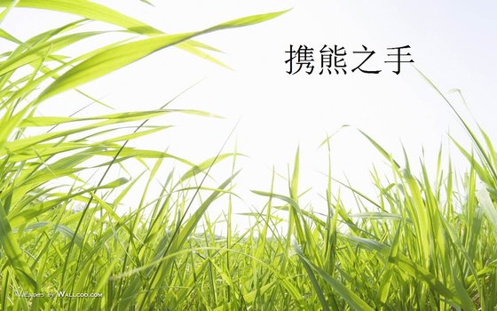 携熊之手