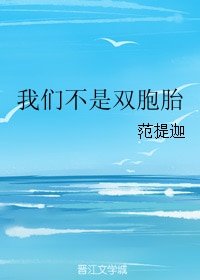 我们不是双胞胎