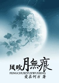 《风吹月无痕》