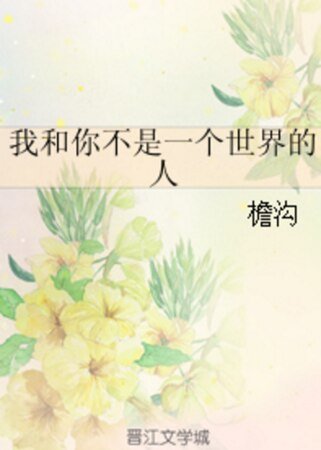 我和你不是一个世界的人