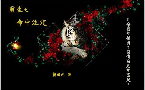 《(HP同人)HP重生之命中注定》