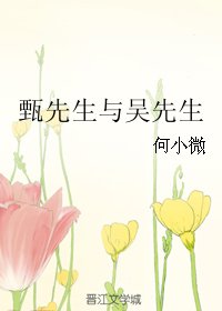 甄先生与吴先生