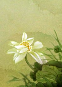 远方伊人
