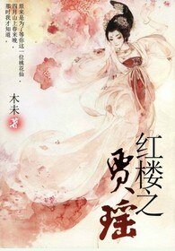 《(洪楼同人)洪楼之贾瑶》
