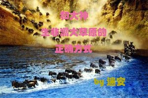 《和大神生非洲大草原的正确方式》