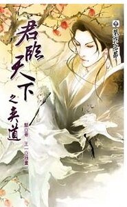 君临天下之奕道