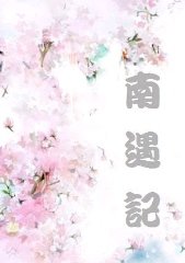 南遇记