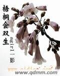 梧桐会双生